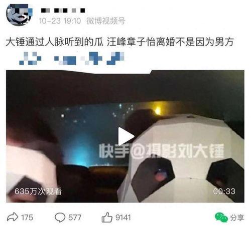 刘大锤爆料最新视频,热点事件背后惊人真相  第3张