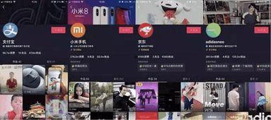 抖音新闻媒体爆料案例最新,揭秘网络舆论背后的真相与挑战  第2张